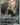 Excadrill ex - 168/086