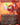 Knuckles the Echidna