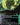 Hissing Quagmire (0019) (Borderless)