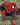 Arachnogenesis (Borderless)