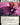 Arachne, Psionic Weaver (Extended Art)