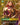 Leona - Radiant Dawn