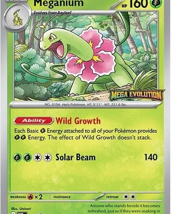 Meganium - 001