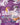 Shachi & Penguin (Winner Pack 2025 Vol. 4)
