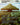 The Banyan Tree - The Great Henge (Borderless)
