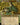 The Earth King (Showcase)