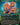 Questing Beast
