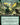 Avatar Kyoshi, Earthbender (Extended Art)