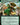 Toph, Earthbending Master (Extended Art)