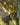 Force of Vigor (Borderless)
