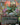 Vibrance (Borderless)