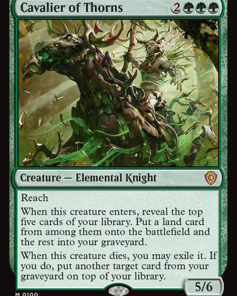 Cavalier of Thorns