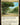 Exotic Orchard