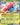 Erika's Vileplume ex