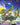 Teleportation Circle (Borderless)