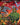 Rhythm of the Wild (Borderless)