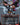 Thor, God of Thunder (Borderless) (0369)