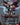 Thor, God of Thunder (Borderless) (0369)