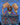 Ms. Marvel, Kamala Khan (Borderless)