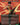 Shang-Chi, Master of Kung Fu (Borderless) (0370)