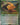 Sazh's Chocobo