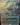 Minas Tirith (Borderless) (Surge Foil)