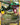 Rayquaza EX