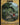 Beast Token (Multicolor)