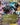Black Kyurem EX