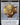 Emblem - Ajani Steadfast