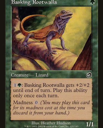 Basking Rootwalla