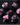 Cat's Eye Purple- Gemstone Engraved with Silver RPG Dice Set