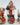 Crowing Rooster RPG Dice Set