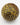 45mm Metal D100 - Gold