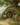Hobbit hole with flowers and a bench in a fantasy landscape