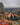 Fallout Miniatures: Hermit Crab