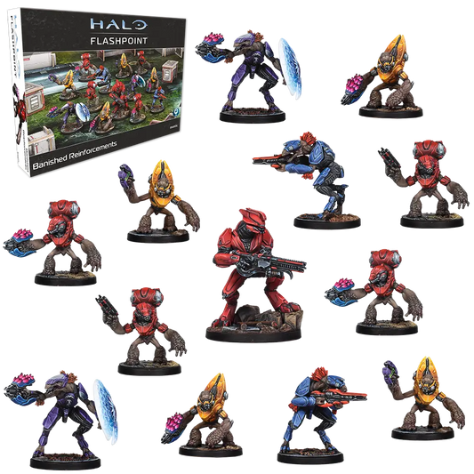 Halo Flashpoint Banished Reinforcements