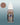 Two Thin Coats Bard Skin