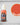 Two Thin Coats Fanatic Orange