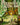 Potions of Azerland