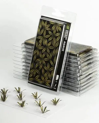 Gamers Grass - Laser Plants Agave