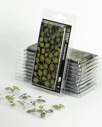 Gamers Grass - Laser Plants Monstera