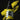 Pro Acryl: Fluorescent Yellow