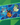 Pokemon Mid-Year Celebration
