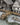 Battle Systems: Raised Walkways