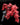 High Grade Series: Mobile Suit Gundam GQuuuuuuX Char's Zaku 