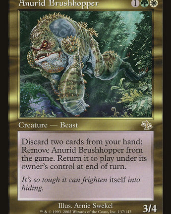 Anurid Brushhopper