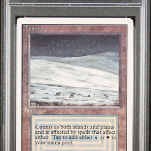NM PSA 8 Tundra (Unlimited) 
