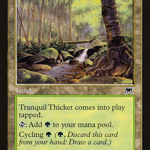 Tranquil Thicket