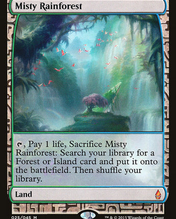 Misty Rainforest